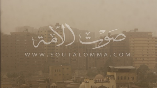 بالصور.. على عكس توقعات «الأرصاد».. موجة حارة تجتاح القاهرة بالصور.. على عكس توقعات «الأرصاد».. موجة حارة تجتاح القاهرة