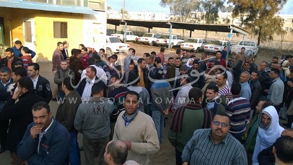 بالصور.. وقفة لعمال مصنع السكر بكفر الشيخ للمطالبة بالتثبيت بالصور.. وقفة لعمال مصنع السكر بكفر الشيخ للمطالبة بالتثبيت