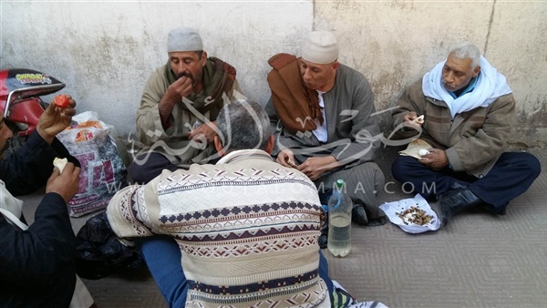 بالصور.. عمال «حليج الأقطان» يفترشون الطريق أمام «الوزراء» بالصور.. عمال «حليج الأقطان» يفترشون الطريق أمام «الوزراء»