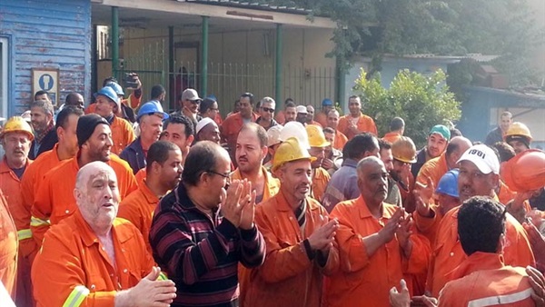 عمال «التمساح» بالإسماعيلية يطالبون بإقالة رئيس الشركة عمال «التمساح» بالإسماعيلية يطالبون بإقالة رئيس الشركة