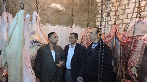 ضبط مجزر غير مرخص لذبح المواشي بملوي بالمنيا