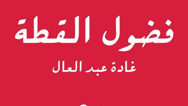 اليوم.. حفل توقيع كتاب "فضول القطة" بالإسكندرية