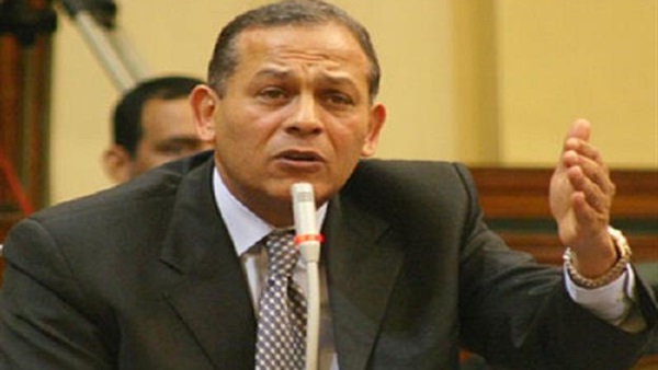 «السادات»: ملف «العمل الأهلي» في مصر بحاجة لترتيب أوضاعه 