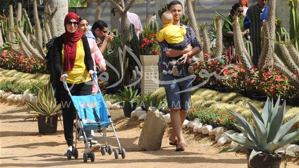 بالصور.. «زهور الربيع».. تعيد لـ«الأورمان» روحها من جديد 