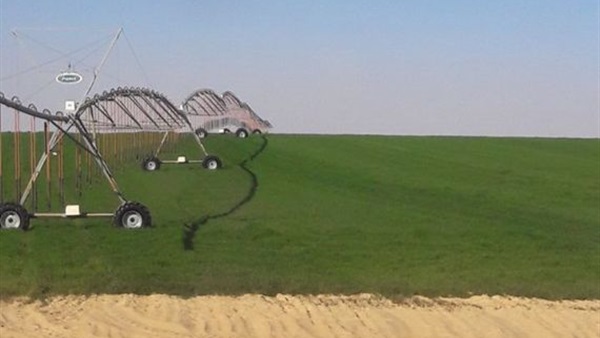 شركة "ريف" تبحث استراتيجية تسويق مشروع المليون ونصف فدان شركة "ريف" تبحث استراتيجية تسويق مشروع المليون ونصف فدان