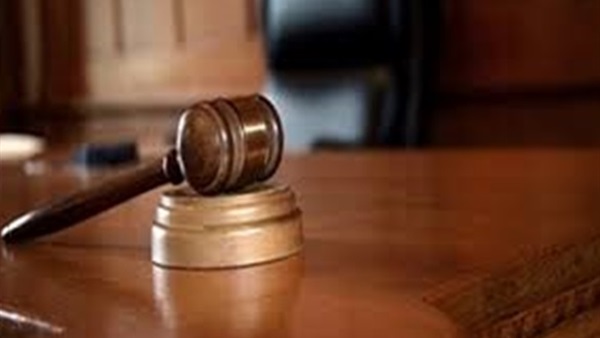 الحكم على سيدة الأعمال وفاء أبو الخير و5 آخرين 22 يونيه 