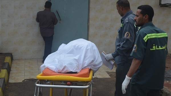 وفاة ربة منزل ونجلتها وإصابة 5 في حادث تصادم بالإسكندرية وفاة ربة منزل ونجلتها وإصابة 5 في حادث تصادم بالإسكندرية
