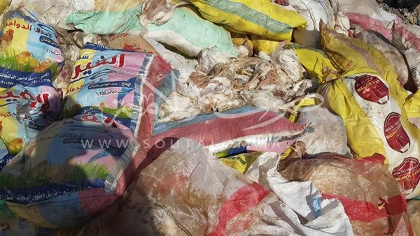 بالصور.. ضبط 4 طن دواجن نافقة قبل طرحها في الأسواق بالفيوم بالصور.. ضبط 4 طن دواجن نافقة قبل طرحها في الأسواق بالفيوم