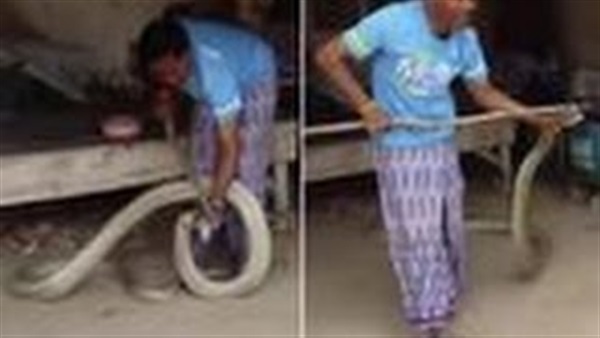 بالفيديو.. رجل يعثر على ثعبان ضخم تحت سريره بالفيديو.. رجل يعثر على ثعبان ضخم تحت سريره