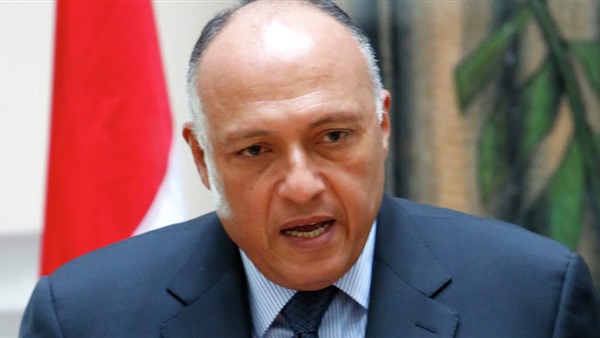 شكري: إضاعة مزيد من الوقت  يضاعف معاناة الشعب السوري 