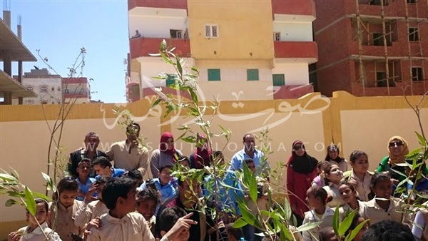 بالصور.. زراعة أشجار على روح الشهيد «فؤاد» بالغردقة بالصور.. زراعة أشجار على روح الشهيد «فؤاد» بالغردقة
