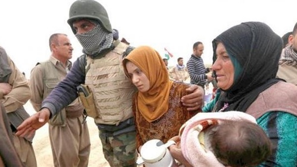 «كبار العلماء» بالسعودية تناشد بإغاثة المدنيين في الفلوجة العراقية