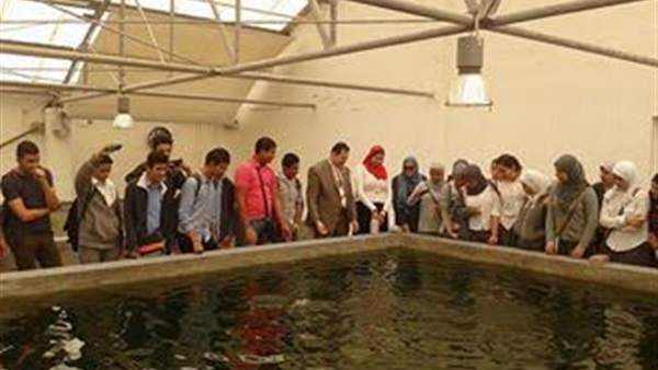 «الإستزراع السمكي» بجامعة القناة ينظم ندوات تثقيفية لطلاب المدارس «الإستزراع السمكي» بجامعة القناة ينظم ندوات تثقيفية لطلاب المدارس