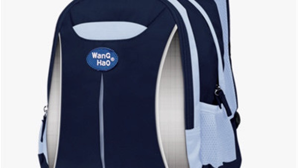 دعوات في فرنسا لوضع شريط عاكس للضوء على حقائب تلاميذ المدارس 