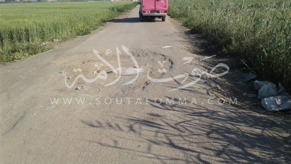 بالصور.. نرصد تهالك شبكة الطرق بكفر الشيخ.. «الفساد» يهدر ملايين الجنيهات سنويا.. الزحف العمراني يصل إلي الطرق العامة.. وقانونيون: الحل في تشكيل لجان مشهود بنزاهتها وقوتها 