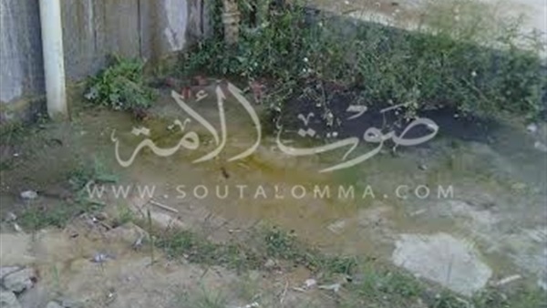 «الفرافرة المركزي» بلا خدمات طبية.. الإهمال يضرب المستشفى.. عمالتها لا تستوعب عدد المرضى.. والعاملون بها يناشدون «وزير الصحة» بسد إحتياجاتهم الطبية الضرورية «الفرافرة المركزي» بلا خدمات طبية.. الإهمال يضرب المستشفى.. عمالتها لا تستوعب عدد المرضى.. والعاملون بها يناشدون «وزير الصحة» بسد إحتياجاتهم الطبية الضرورية