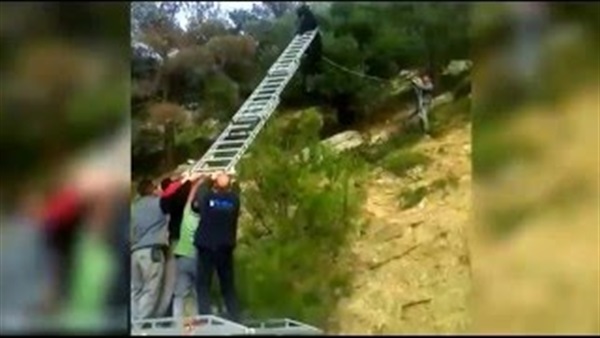 بالفيديو.. إنقاذ معزاة علقت قرونها بأسلاك هاتف بالفيديو.. إنقاذ معزاة علقت قرونها بأسلاك هاتف
