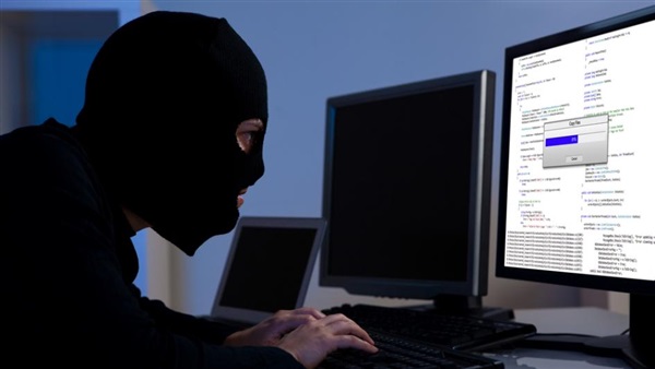 الجرائم الإليكترونية تخسر هولندا مليارات باهظة