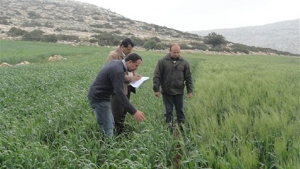 البنك الإسلامي يمول مشاريع تنموية زراعية في تونس 