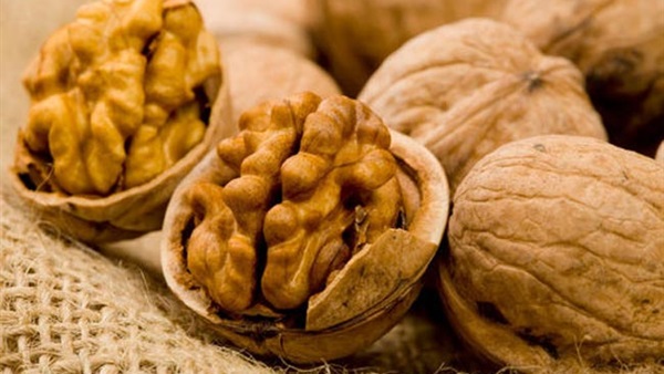 دراسة: عين الجمل بديلا لطبيبك دراسة: عين الجمل بديلا لطبيبك