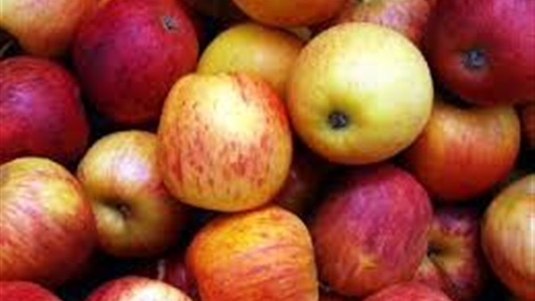 توفير الفاكهة مجانا لتلاميذ مدارس جزر الكناري الأسبانية