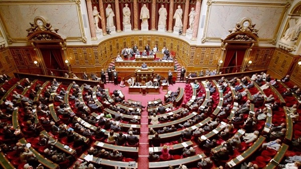 النواب الفرنسي يمنع نهائيا استخدام المبيدات الحشرية القاتلة للنحل