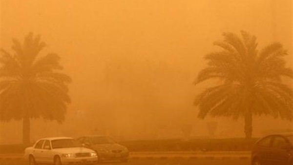 رياح شديد وعواصف ترابية تضرب المنيا  