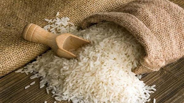 باحثون مصريون يحصلون على براءة الاختراع بفضل «قشرة الأرز» باحثون مصريون يحصلون على براءة الاختراع بفضل «قشرة الأرز»