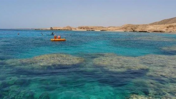 مفاجأه.. «شركة سياحة» تعلن عن رحلة 4 أيام لجزيرة«تيران السعودية» مفاجأه.. «شركة سياحة» تعلن عن رحلة 4 أيام لجزيرة«تيران السعودية»