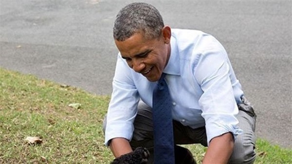 أوباما يداعب كلبه فى احتفالات "يوم الحيوانات الأليفة"