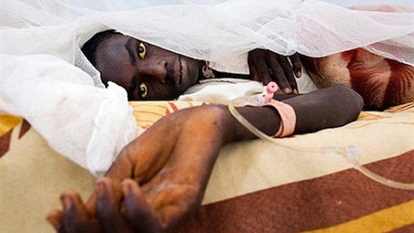 الصحة العالمية: وفاة 21 شخصا بسبب «الحمى الصفراء» في الكونغو الصحة العالمية: وفاة 21 شخصا بسبب «الحمى الصفراء» في الكونغو