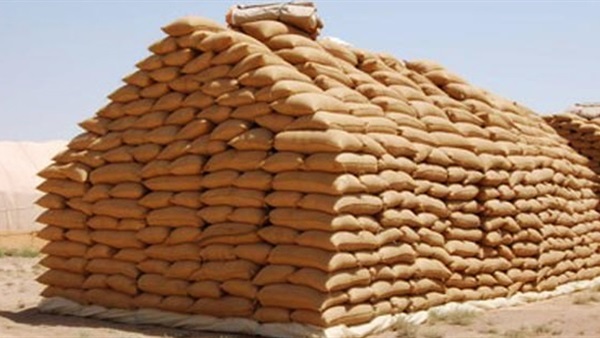 98 شاحنة قمح تغادر ميناء الإسكندرية في طريقها للمطاحن بعدة محافظات 98 شاحنة قمح تغادر ميناء الإسكندرية في طريقها للمطاحن بعدة محافظات