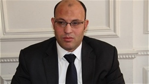 فقيه دستوري: لا يجوز قانونا أجراء انتخابات المحليات فقيه دستوري: لا يجوز قانونا أجراء انتخابات المحليات