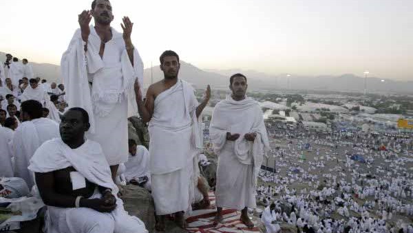 800 اتوبيس لتصعيد حجاج  السياحه الى جبل  عرفات 
