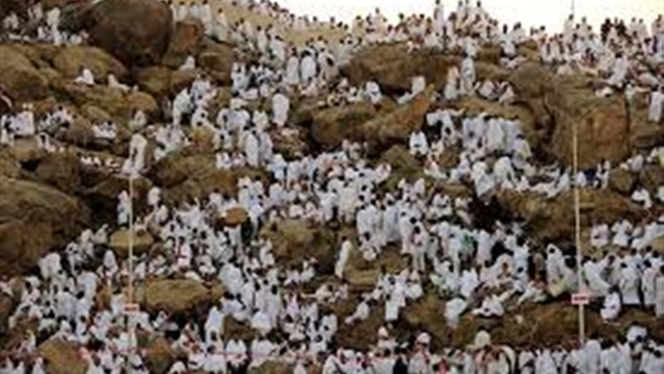 مدير مكتب الأخبار بالسعودية: توافد  65 ألف حاج مصري  إلى عرفات  