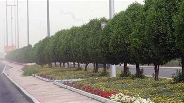 «عبدالغفار»: خطة موسعة لرفع كفاءة المسطحات الخضراء بالإسماعيلية