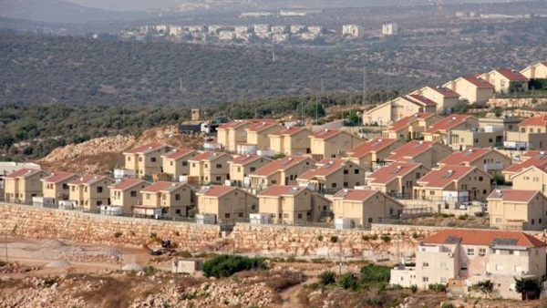 «فلسطين»: الدولة ماضية في تقديم مشروع قرار لمجلس الأمن لوقف الاستيطان