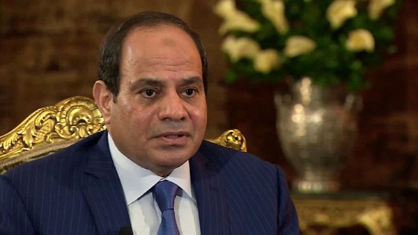 السيسي يؤكد لـ«كيري» حرص مصر على الإرتقاء بالتعاون السيسي يؤكد لـ«كيري» حرص مصر على الإرتقاء بالتعاون