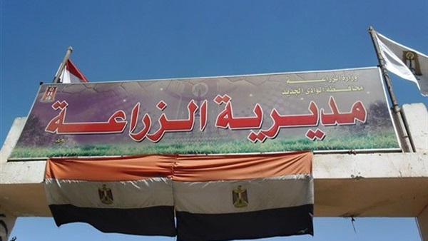 «زراعة كفرالشيخ»: توزيع 5 ألف و837 طن أسمدة على المزارعين «زراعة كفرالشيخ»: توزيع 5 ألف و837 طن أسمدة على المزارعين