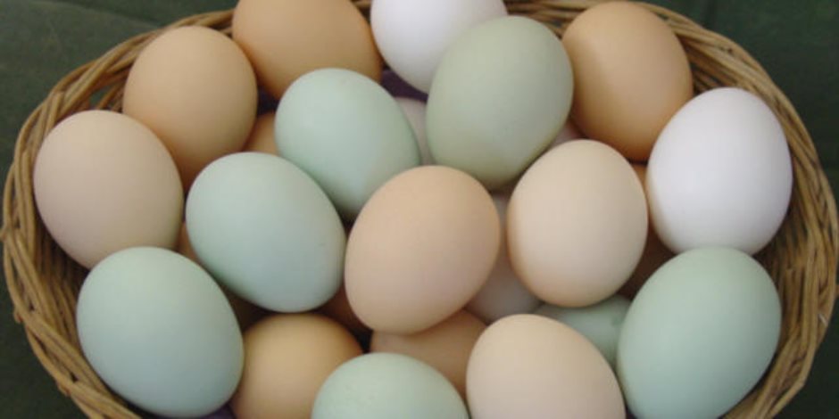 تعرفى أيه عن بيضة الفرخة.. 7 معلومات مهمة قبل ما تشترى وتسلقى