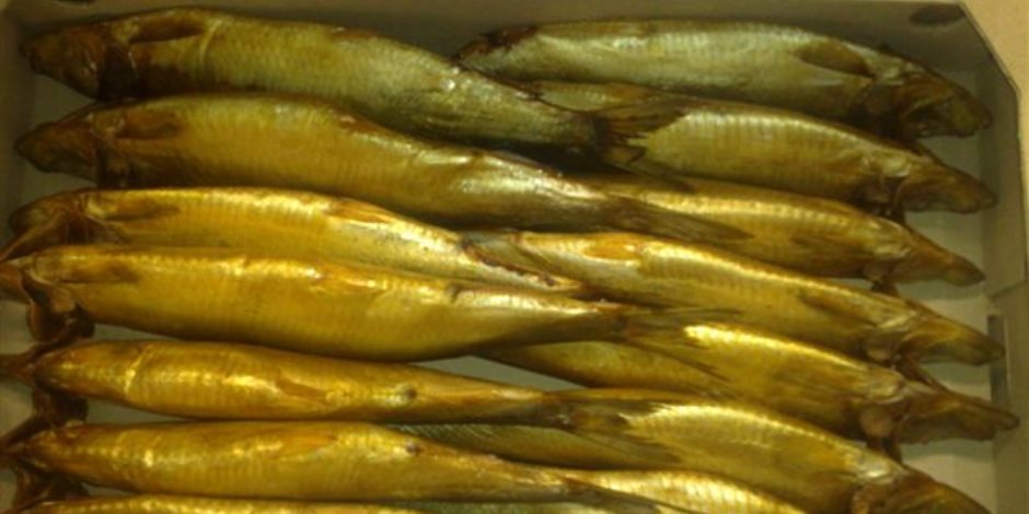 بالأسماء والأرقام.. واردات مصر من أنواع الأسماك المختلفة فى 8 أشهر 