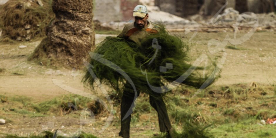 صناعة «كارينة الكراسي» في مركز أبو النمرس (صور)