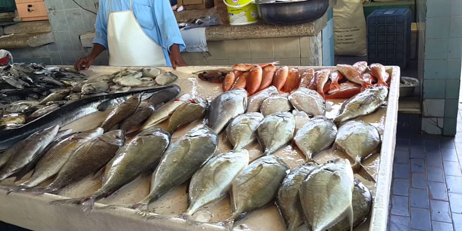 استقرار أسعار السمك اليوم الإثنين 9-9-2019.. البلطي يبدأ من 24 جنيها للكيلو