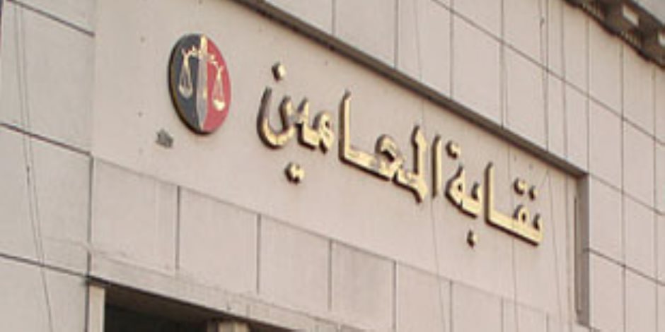 «الإداري» يرفض دعاوى وقف انتخابات النقابات الفرعية للمحامين