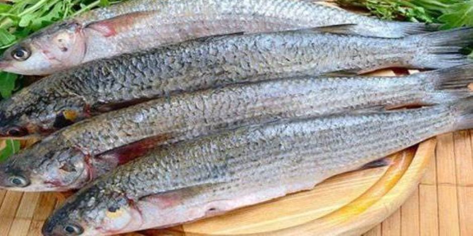 إعدام 100 كيلو أسماك مملحة وتحرير 8 محاضر في الدقهلية