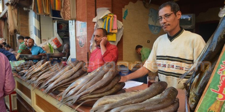 شعبة الأسماك: «تراجع أسعار الفسيخ في شم النسيم بنسبة 15%»