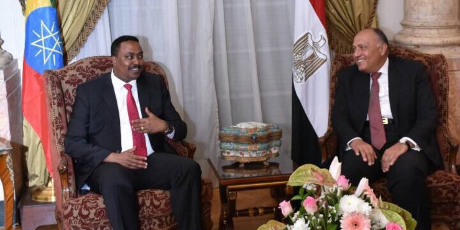 وزير خارجية إثيوبيا بجوار نظيره المصري في قصر التحرير (صور)