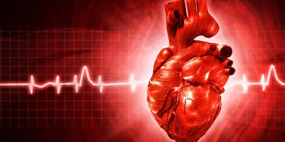 28 % من المصريين يعانون من أمراض القلب.. وخبراء يضعون روشتة العلاج