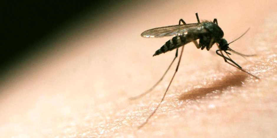 وفاة 23 شخصا وإصابة 13 ألف آخرين بالملاريا فى مالى خلال أسبوع