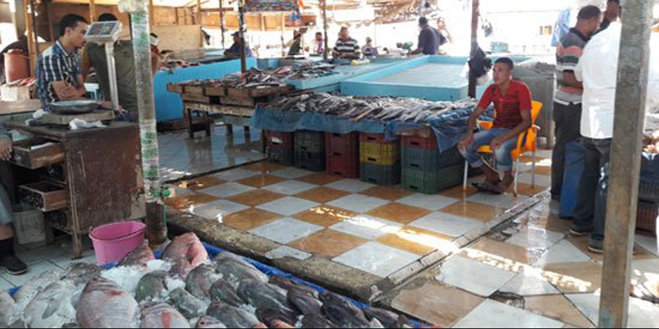 بما لا يخالف الشرع الدولي.. الحكومة تسعى لخفض أسعار الأسماك قبل رمضان.. فرض رسم 12 ألف جنيه على الطن الصادر